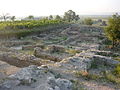 Les ruines de Tauresium