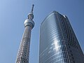 Телебашня и Tokyo Sky Tree East Tower (более низкая часть комплекса)