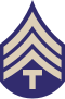 The T/4 insignia of a letter "T" below three chevrons.