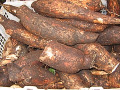 Cassava roots