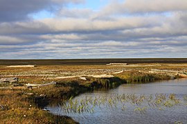 Île Chokalski.