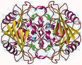 Image illustrative de l’article Cytidine désaminase