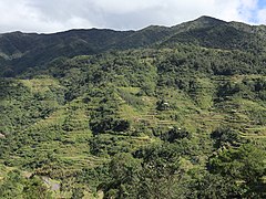 Banaue Rice Terraces Hiwang view central