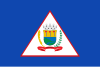 Flag of Machado, Minas Gerais