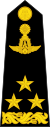 Lieutenant General