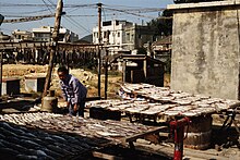 Three horizontal surfaces, supported by barrels covered in rows of drying fish. A person bent over one of the tables, looks at the camera.