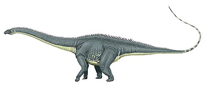 Diplodocus