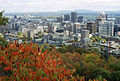 Downtown Montreal seen from the city's namesake geographical feature. Mont-Royal offers a great view of downtown Montreal — if you're willing to undertake the hike. (I live in a walk-up and was thouroughly out of breath half way up. But then again, I was carrying my camera: it's of the stick-shift variety, which can get heavy.)