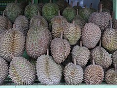 Durians full