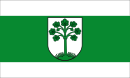 Drapeau de Telgte