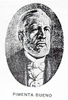 José Antônio Pimenta Bueno, Viscount of São Vicente