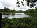 Lake Ngardok