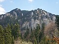 Des aiguilles dans les monts Ciucaș en Romanie.