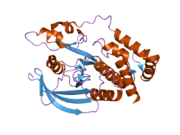 2pbn: Crystal structure of the human tyrosine receptor phosphate gamma