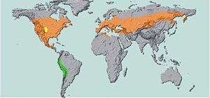 Mapa de difusão do escaravelho da batata