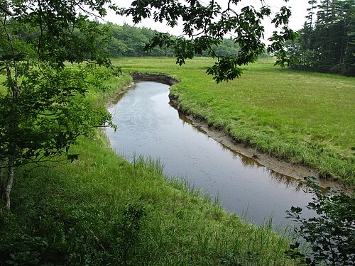 Tidal Salt Marsh at the Rachel Carson National Wildlife Refuge