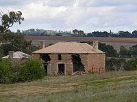 The ruins of the Shannon family's farmhouse at Moculta in 2006. The steeple of the Gruenberg Lutheran church can be seen in the background.