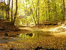 The Chagrin River as viewed from the South Chagrin Reservation