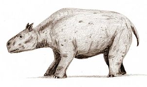 Toxodon (Notoungulata)