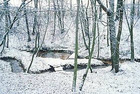 Вид на родник зимой с северо-востока