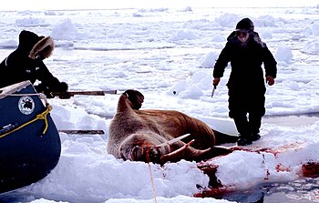 Ескими у лову на моржеве.