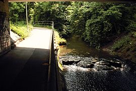 Unter der Straßenbrücke Aichholzhof–Seemühle