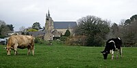 Le hameau et la chapelle de Sainte-Avoye vus depuis le GR 34 (rive droite de la Rivière du Bono).