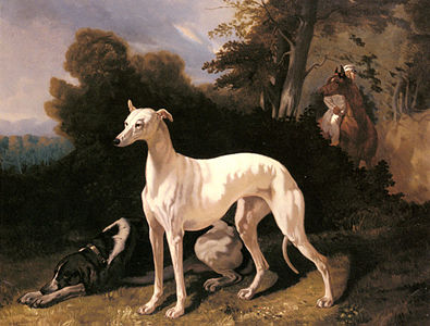A Greyhound with Landscape by Alfred Dedreux (1810–1860)