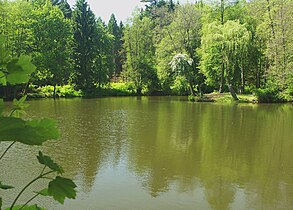 The pond with the island