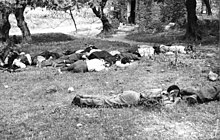 Dead civilians shot in reprisal by German paratroopers