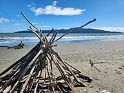 Driftwood fort with Kapiti Island in the background