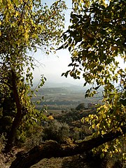 La vallée vue du village.