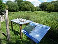 Les résultats d'une animation nature, dans le marais de Fesques, sur les bords de l'Eaulne, Normandie.