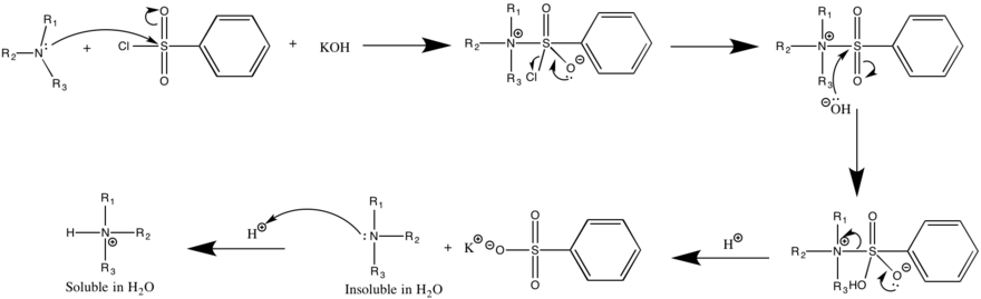 PhSO2Cl + R3N + H2O → R3NH+[PhSO− 3] + HCl