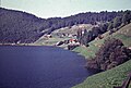 Blick entlang der Strasse am See nach Innerthal im Sommer 1956