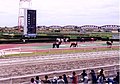 笠松競馬場