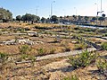 Remains of the church