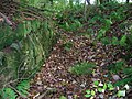 Looking up the pit towards the 'closed off' end.