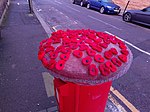 Knitted Remembrance poppies in Walthamstow, Greater London, 2020