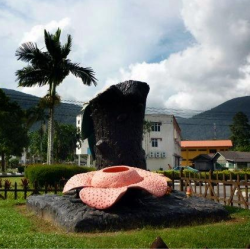 Landmark of Lundu town