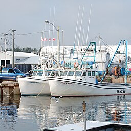 En del av Murray Harbours hamn.