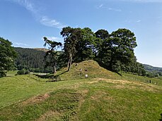 A grassy earth mound around 4 metres high, with several pine trees upon it.