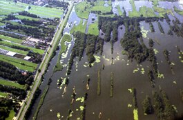 View of Nieuwkoop