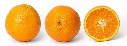 File:Orange and cross section.jpg