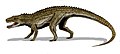 Postosuchus