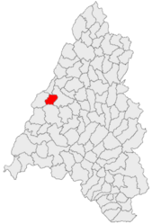 Location in Bihor County