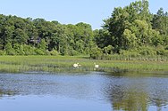 Huron River flowing through the township