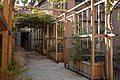 Pergola du musée Stendhal (Grenoble).