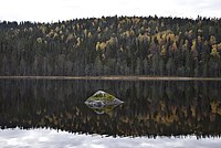 Utsikt över Älgtjärnen mot söder.