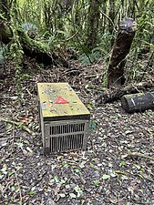 Stoat trap